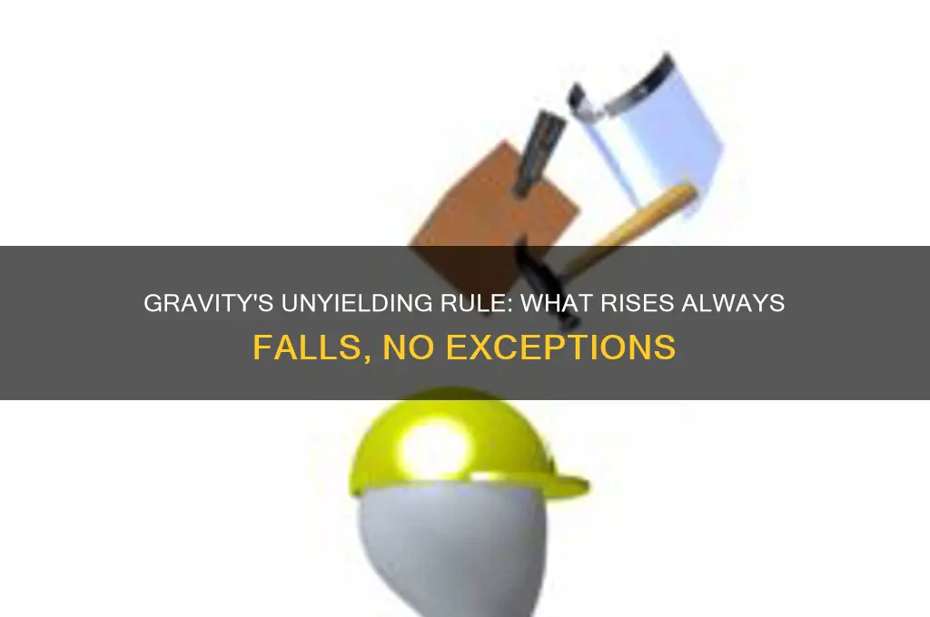 what goes up must come down law of gravity