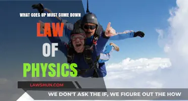 Gravity's Unyielding Rule: Exploring the Physics of Ascent and Descent