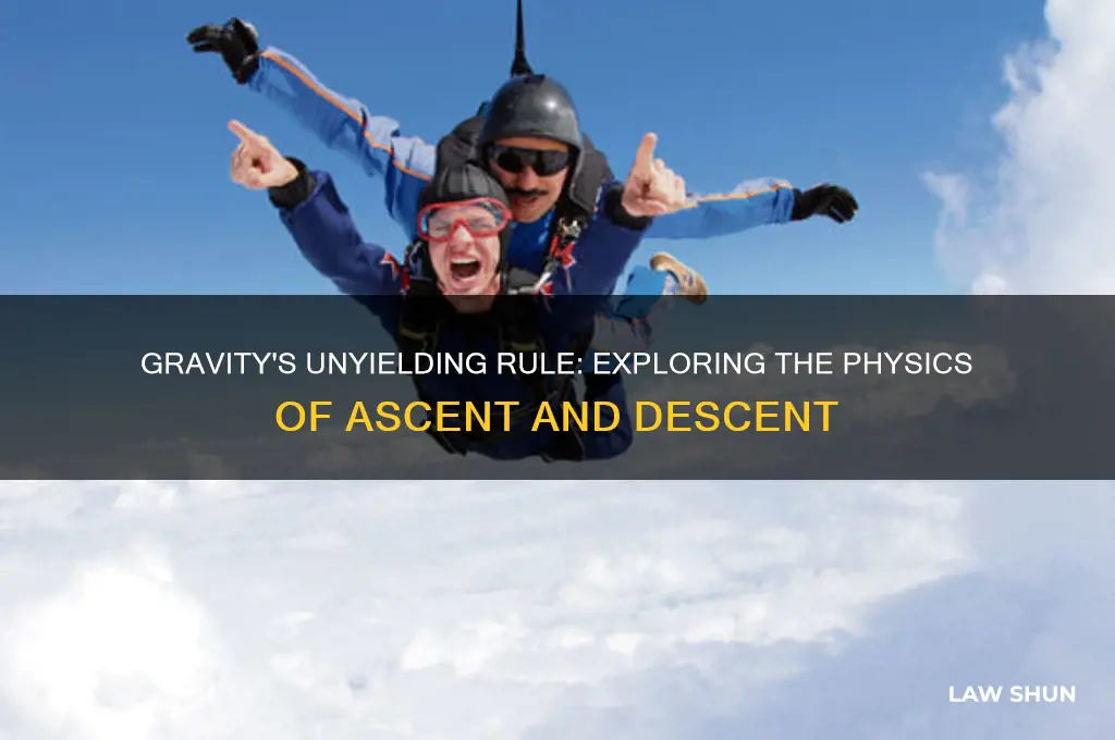 what goes up must come down law of physics