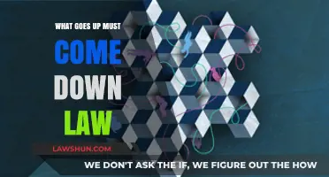 What Goes Up Must Come Down: Understanding the Law of Gravity