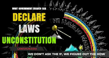The Judiciary: Upholding the Constitution