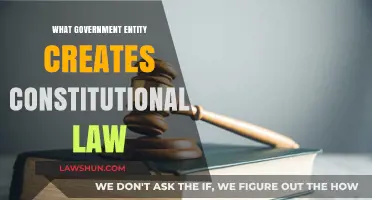 Who Shapes Constitutional Law?
