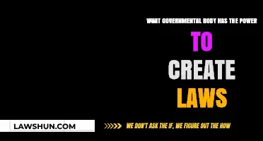 Who Makes the Laws? Understanding Governmental Power