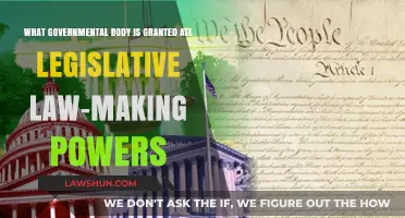 Understanding the Sole Authority: Which Governmental Body Holds All Legislative Powers?