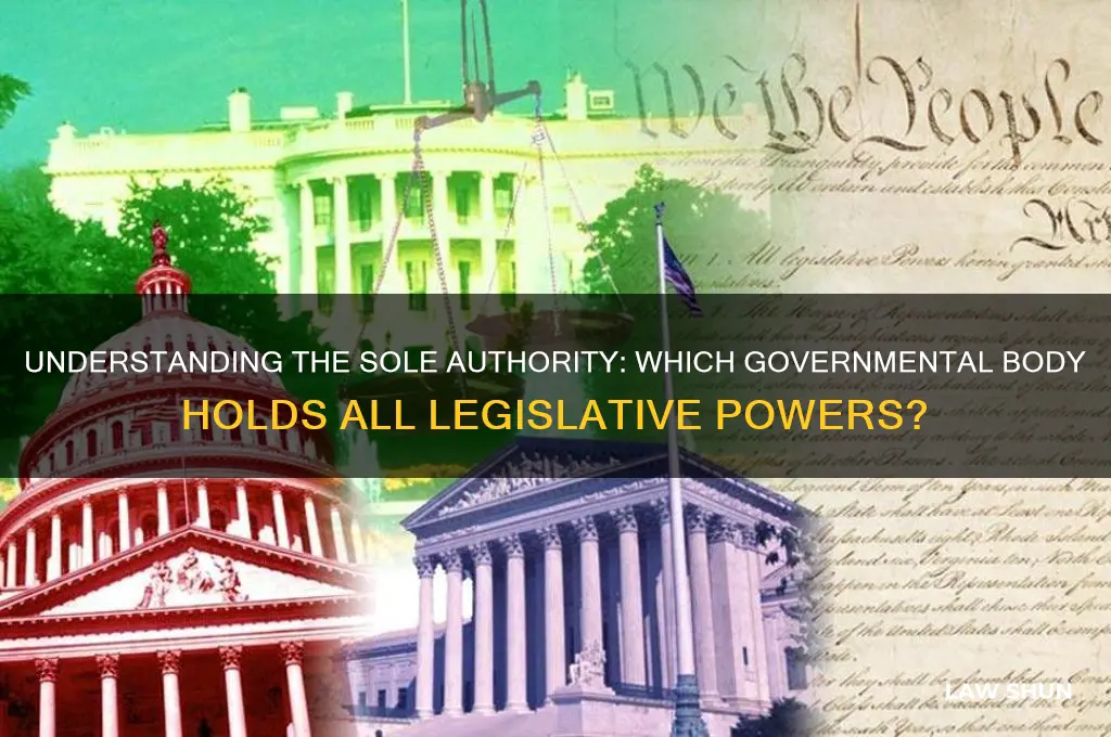 what governmental body is granted all legislative law-making powers