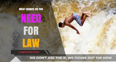 Law School Admissions: What Grades Do You Need to Succeed?