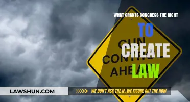 The Law-Making Power of Congress Explained