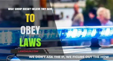 Sovereign Citizens: The Group That Rejects Legal Authority