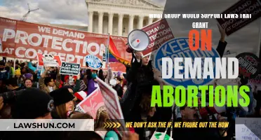 Who Backs Abortion Laws Without Restrictions?