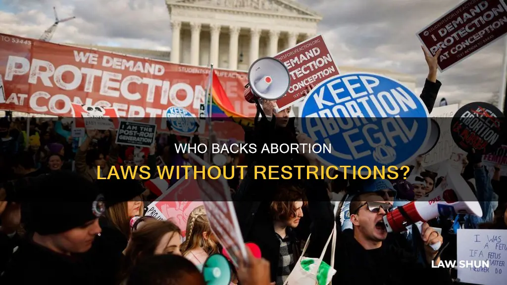 what group would support laws that grant on demand abortions