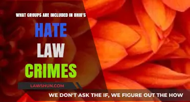 Ohio's Hate Crime Law: Protected Groups and Legal Implications