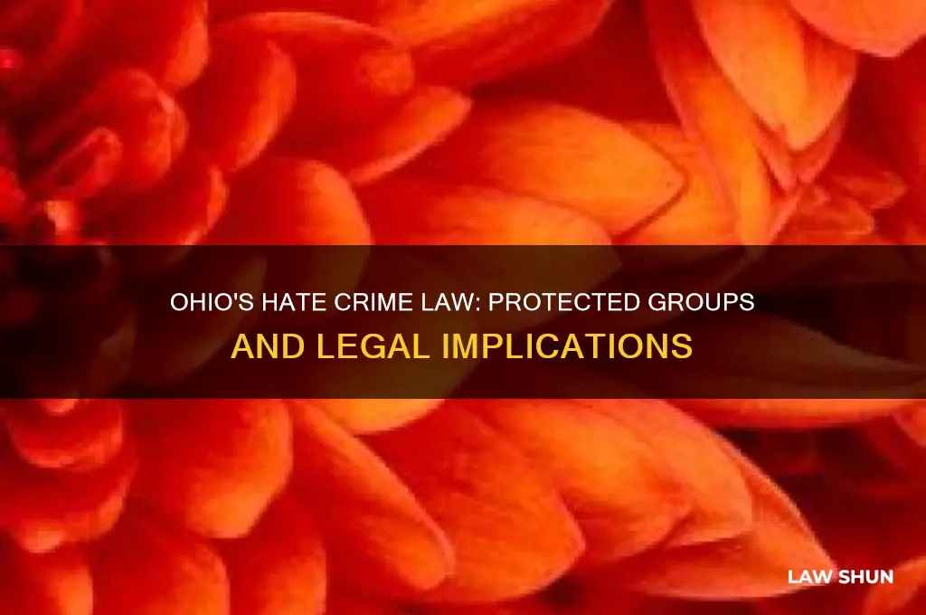 what groups are included in ohio