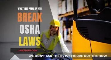 OSHA Law Violations: Understanding the Consequences and Risks