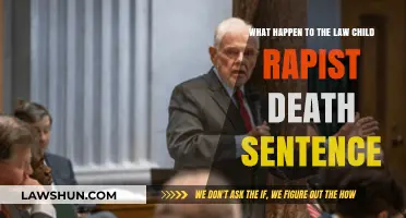 Child Rapist Death Sentence: Legal Shifts and Societal Implications Explored