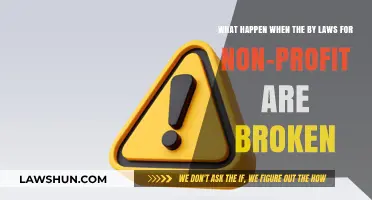 Consequences of Violating Non-Profit Bylaws: Legal and Operational Ramifications