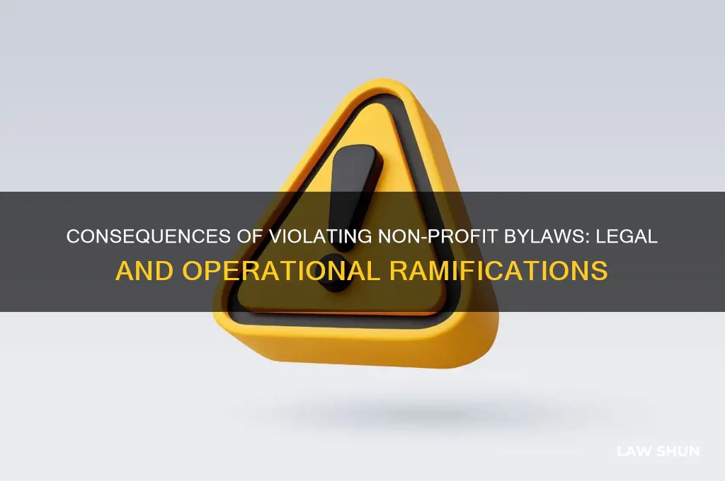 what happen when the by laws for non-profit are broken