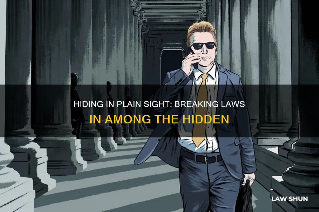 what happend when among the hidden breaks the law