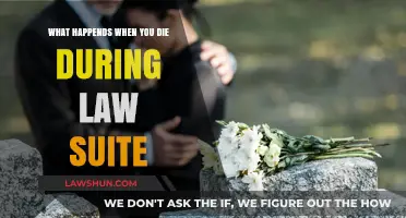 Death During a Lawsuit: What Happens to Your Legal Case?