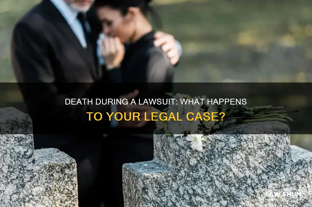 what happends when you die during law suite