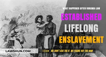 Virginia's Lifelong Enslavement Law: Aftermath and Enduring Legacy Explored