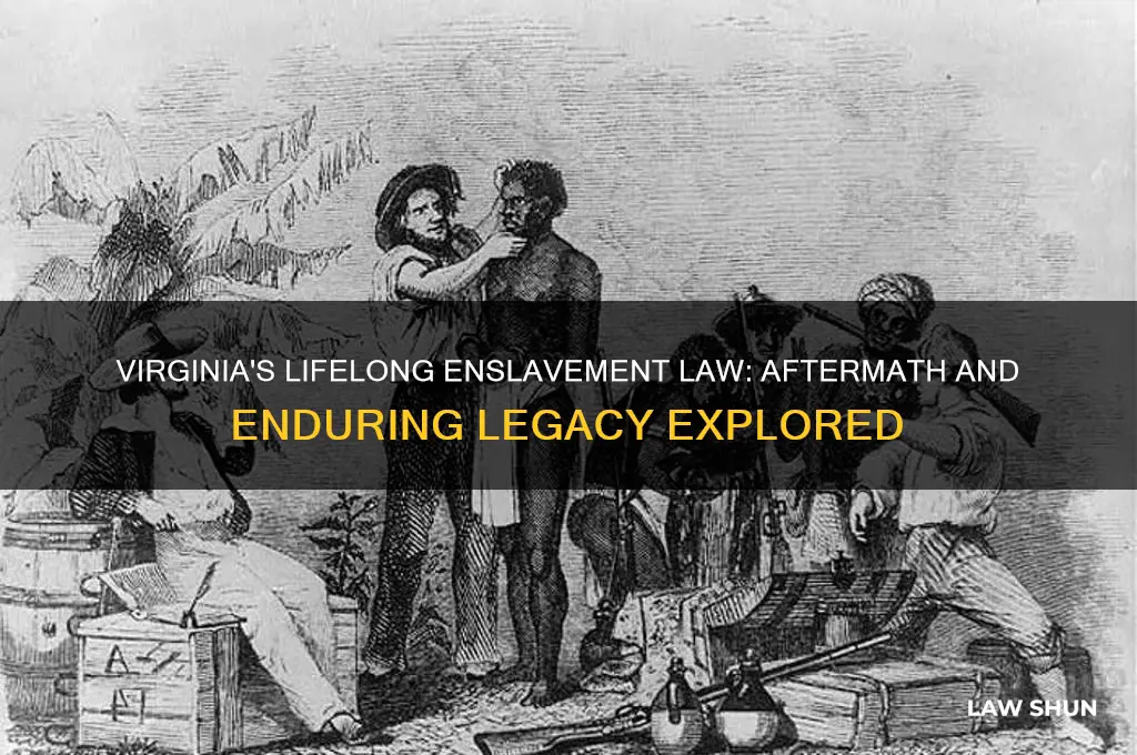 what happened after virginia law established lifelong enslavement