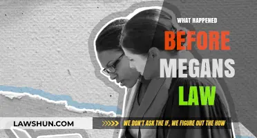 Before Megan's Law: A History of Sex Offender Registration