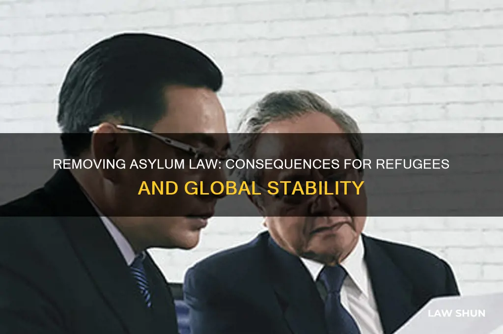 what happened if asylum law removed