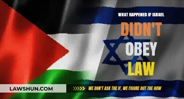 Israel's Defiance: Consequences of Ignoring International Law Explored