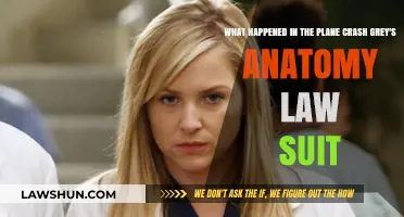 Grey's Anatomy Plane Crash Lawsuit: Unraveling the Legal Drama
