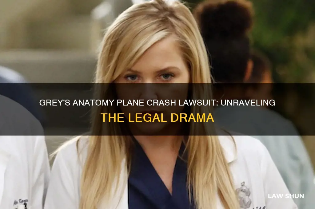 what happened in the plane crash grey