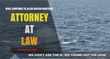Allen Kaplan, Monterey Attorney: Unraveling the Mystery of His Disappearance