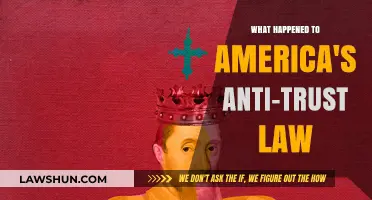 America's Anti-Trust Law: Decline, Erosion, and Corporate Power Surge