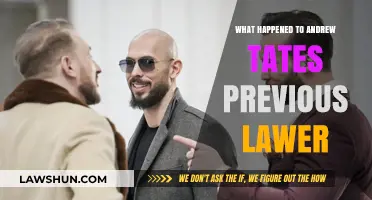 Andrew Tate's Former Lawyer: Unraveling the Sudden Departure Mystery