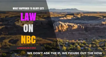 Why NBC's Bluff City Law Was Canceled After One Season