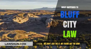 Bluff City Law's Sudden Cancellation: Unraveling the Mystery Behind Its Disappearance