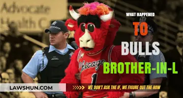 The Mystery of the Missing Brother-in-Law
