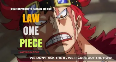 Captain Kid and Law's Fates: One Piece's Shocking Twists Explained