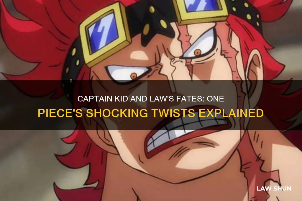 what happened to caotain kid and law one piece