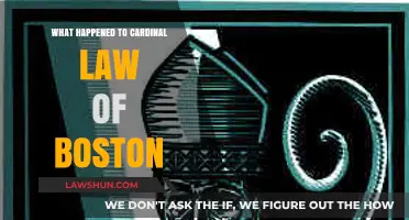 Cardinal Law's Downfall: Boston's Clergy Abuse Scandal Unveiled