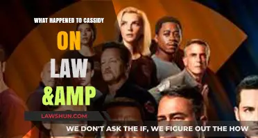 Cassidy's Fate on Law & Order: SVU Explained