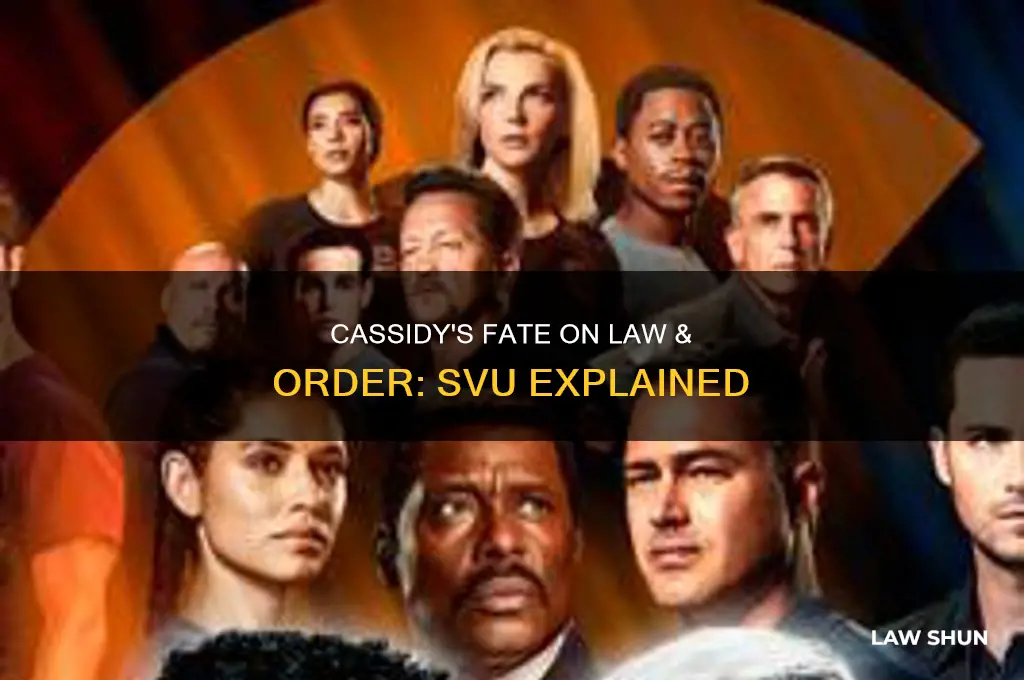 what happened to cassidy on law &amp