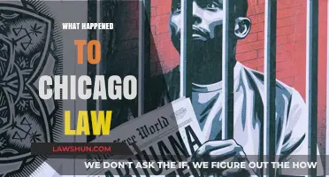 The Decline of Chicago Law: Unraveling the Legal Landscape's Transformation