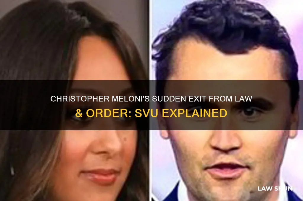 what happened to christopher meloni on law &amp