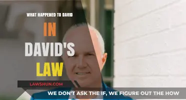 David's Law: Unraveling the Aftermath of David's Tragic Story