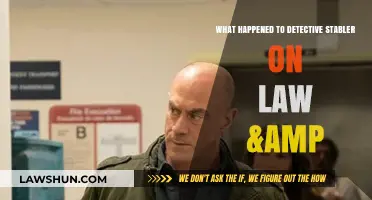 Detective Stabler's Exit: Unraveling His Law & Order Departure
