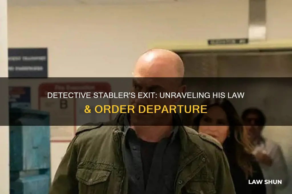 what happened to detective stabler on law &amp