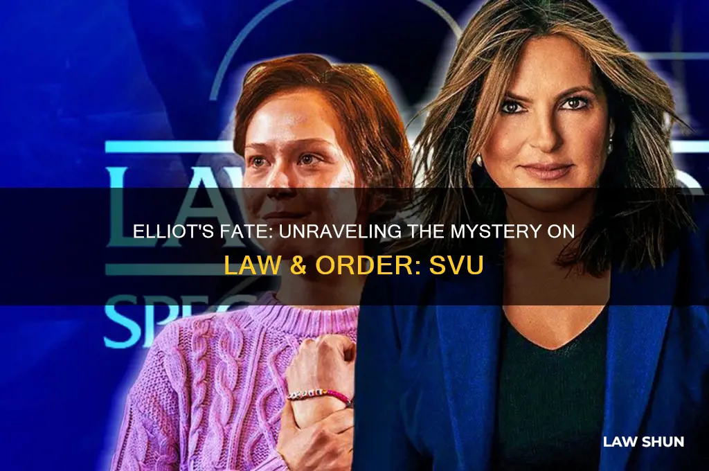 what happened to elliot on law &amp