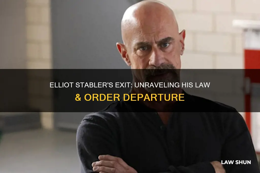what happened to elliot stabler character on law &amp