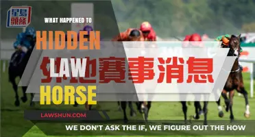 The Mysterious Disappearance of Hidden Law Horse: Unraveling the Truth