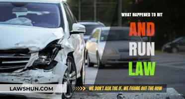 The Evolution of Hit and Run Laws: Changes and Consequences
